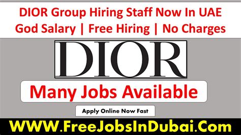 job at dior|christian dior job opportunities.